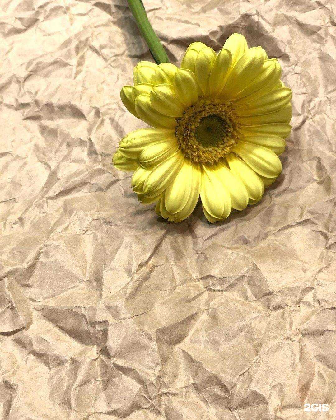 Отзывы на компанию Гранат в Череповце c фото