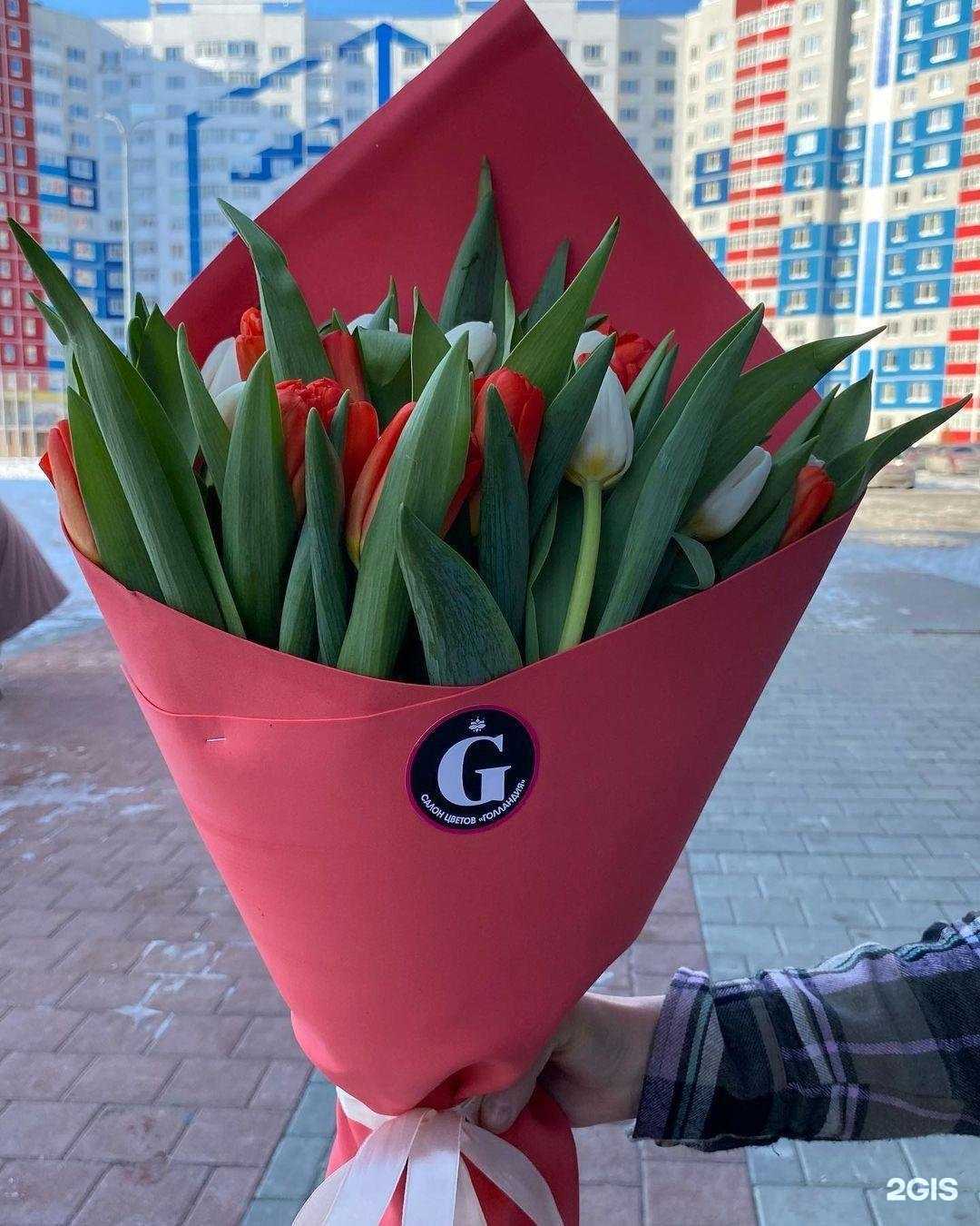 Отзывы на компанию Голландия в Тюмени c фото