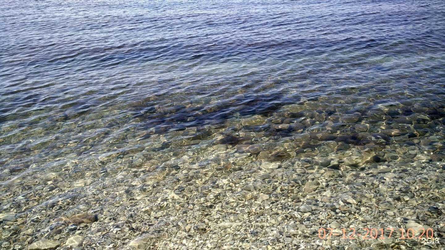 Отзывы на компанию Гостевой дом в г. Геленджик c фото