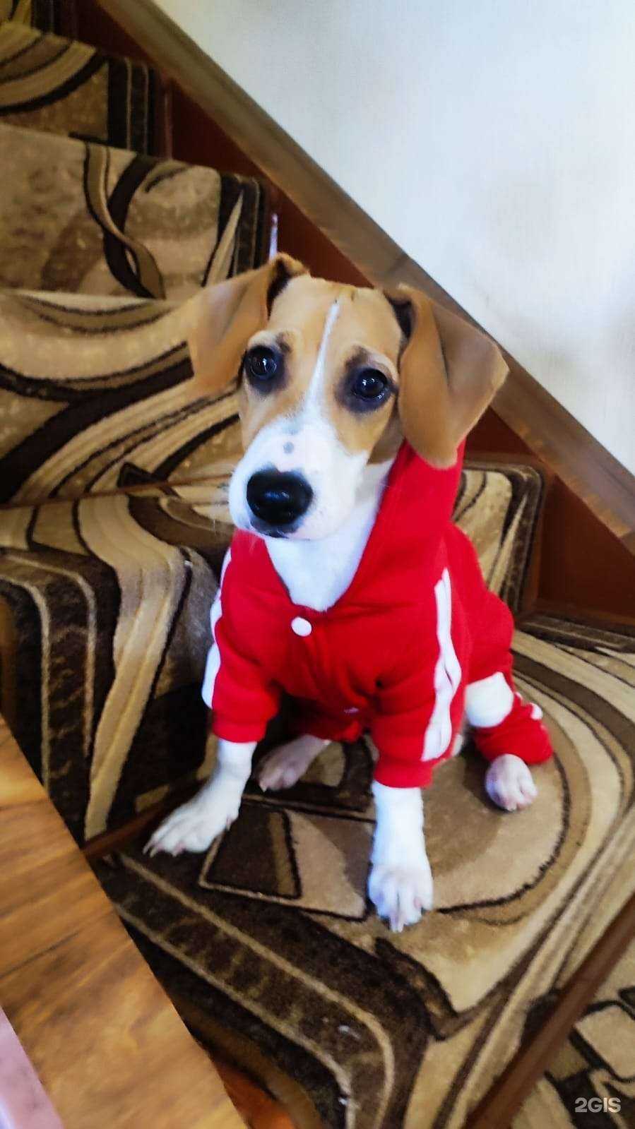 Отзывы на компанию Пан Лагман в Омске c фото