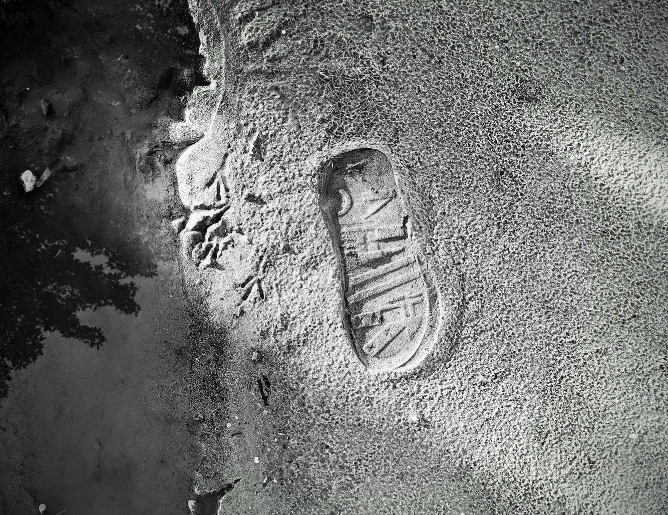 Отзывы на компанию Walrus в г. Константиновск c фото