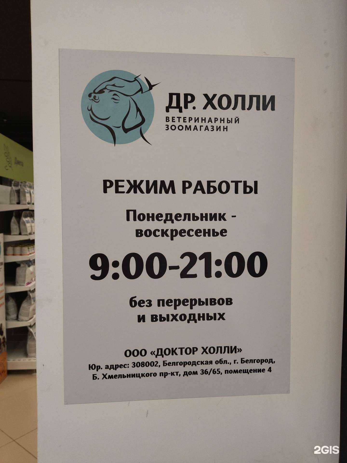 Отзывы на компанию Др.Холли в г. Воронеж c фото