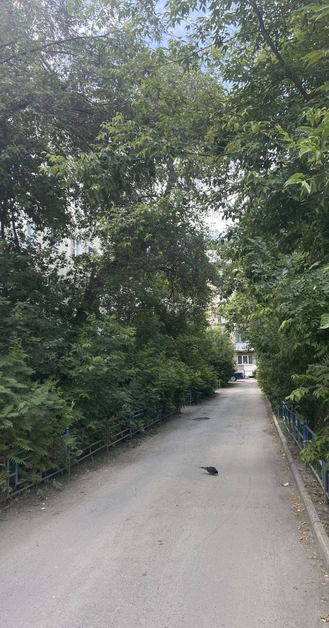 Отзывы на компанию Дверная фурнитура в Екатеринбурге c фото - фотография 2 из 2