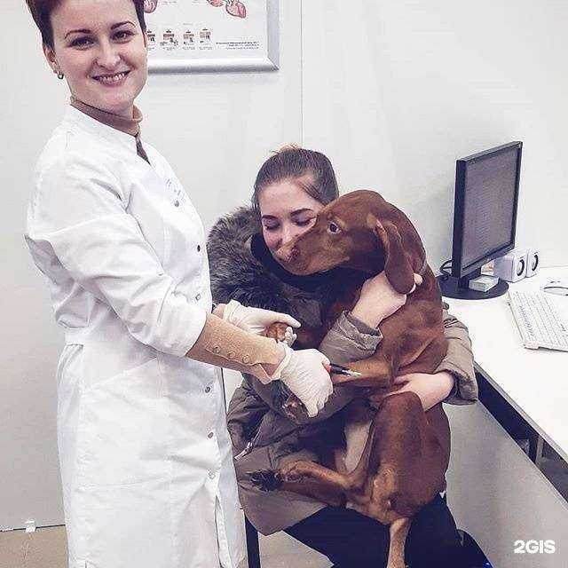 Отзывы на компанию Ветеринарная клиника Дарьи Суховой в Тюмени c фото