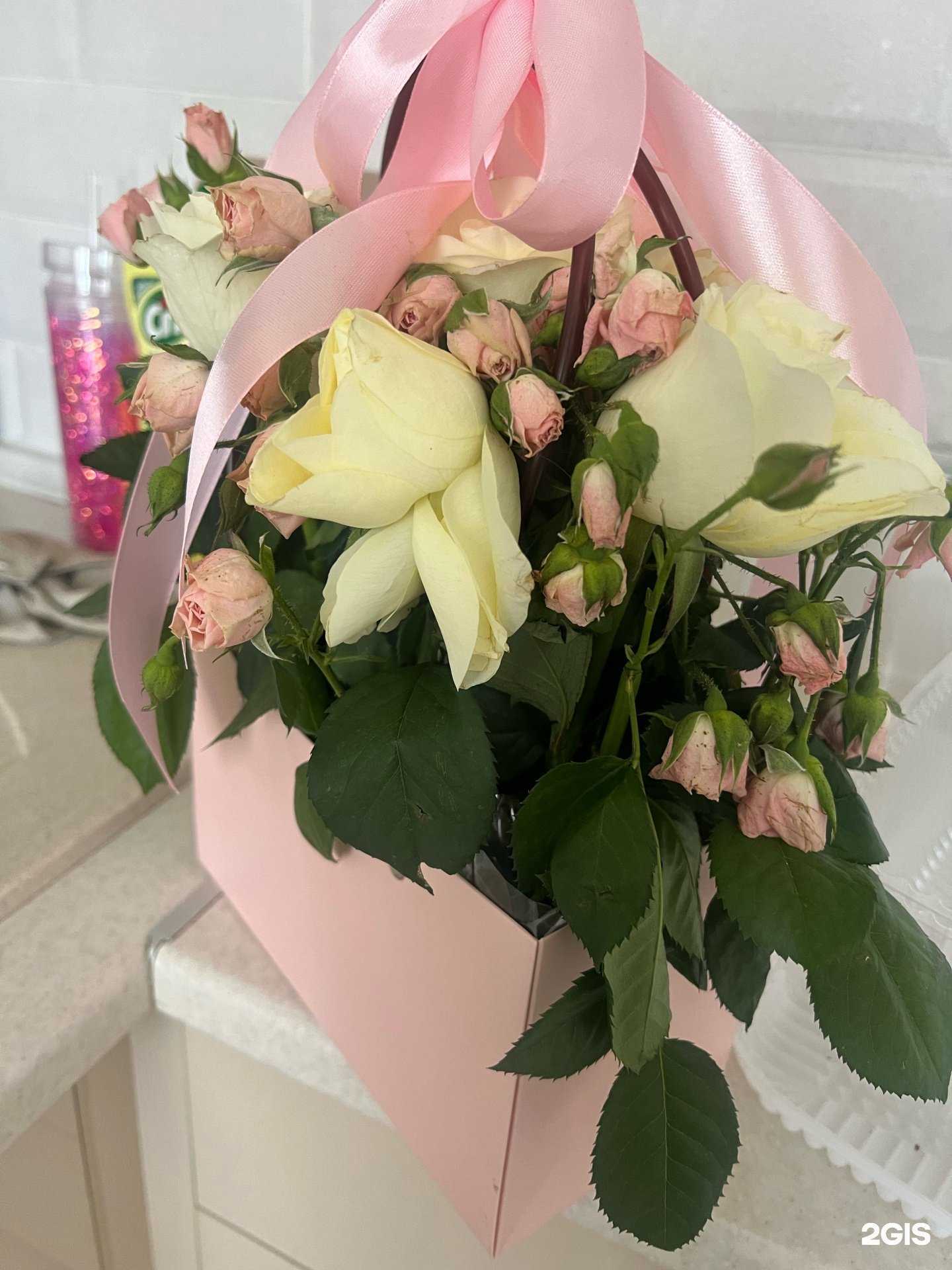 Отзывы на компанию Rose58 в Пензе c фото