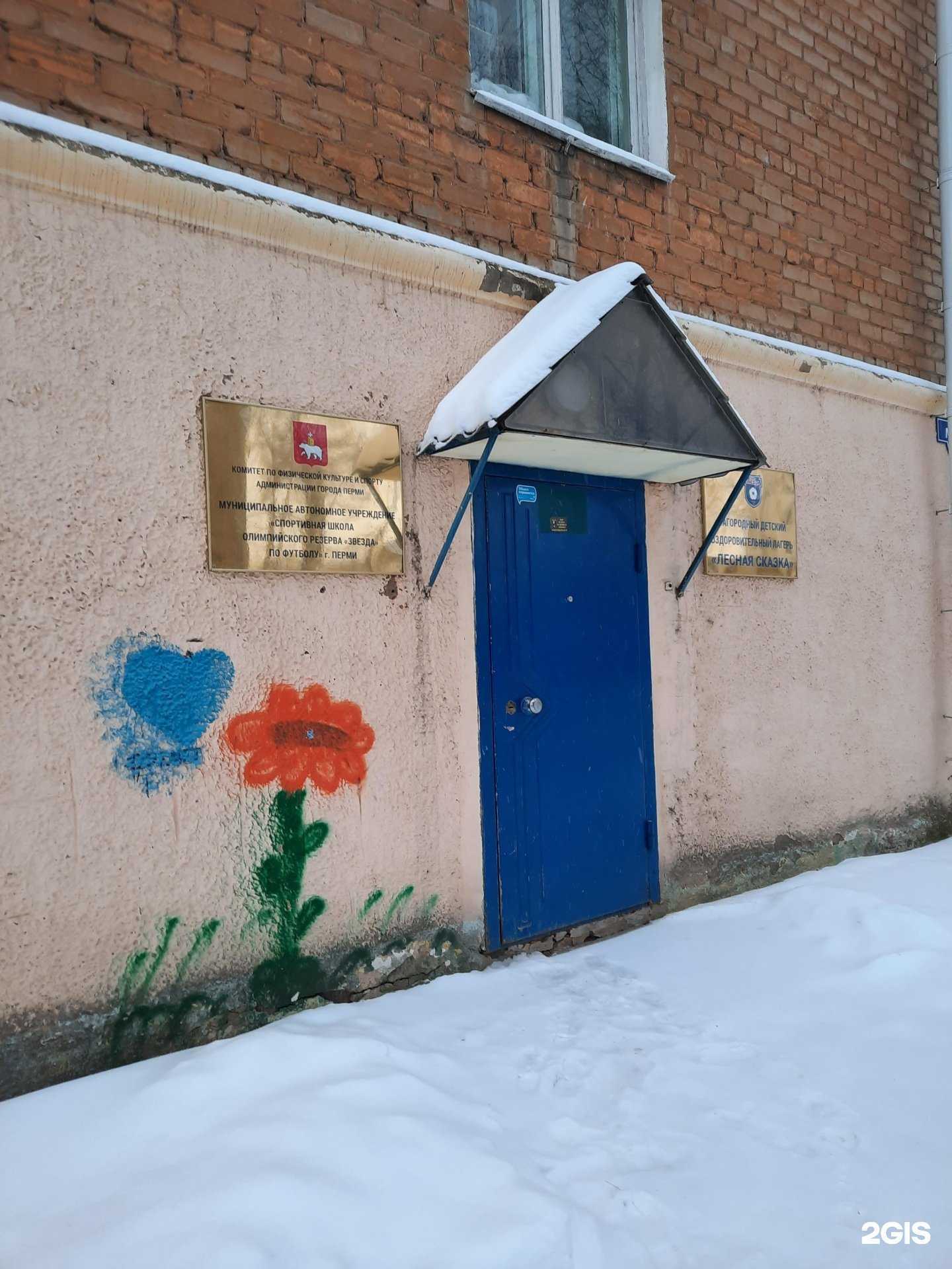 Отзывы на компанию Спортивная школа олимпийского резерва Звезда по футболу  в Перми c фото