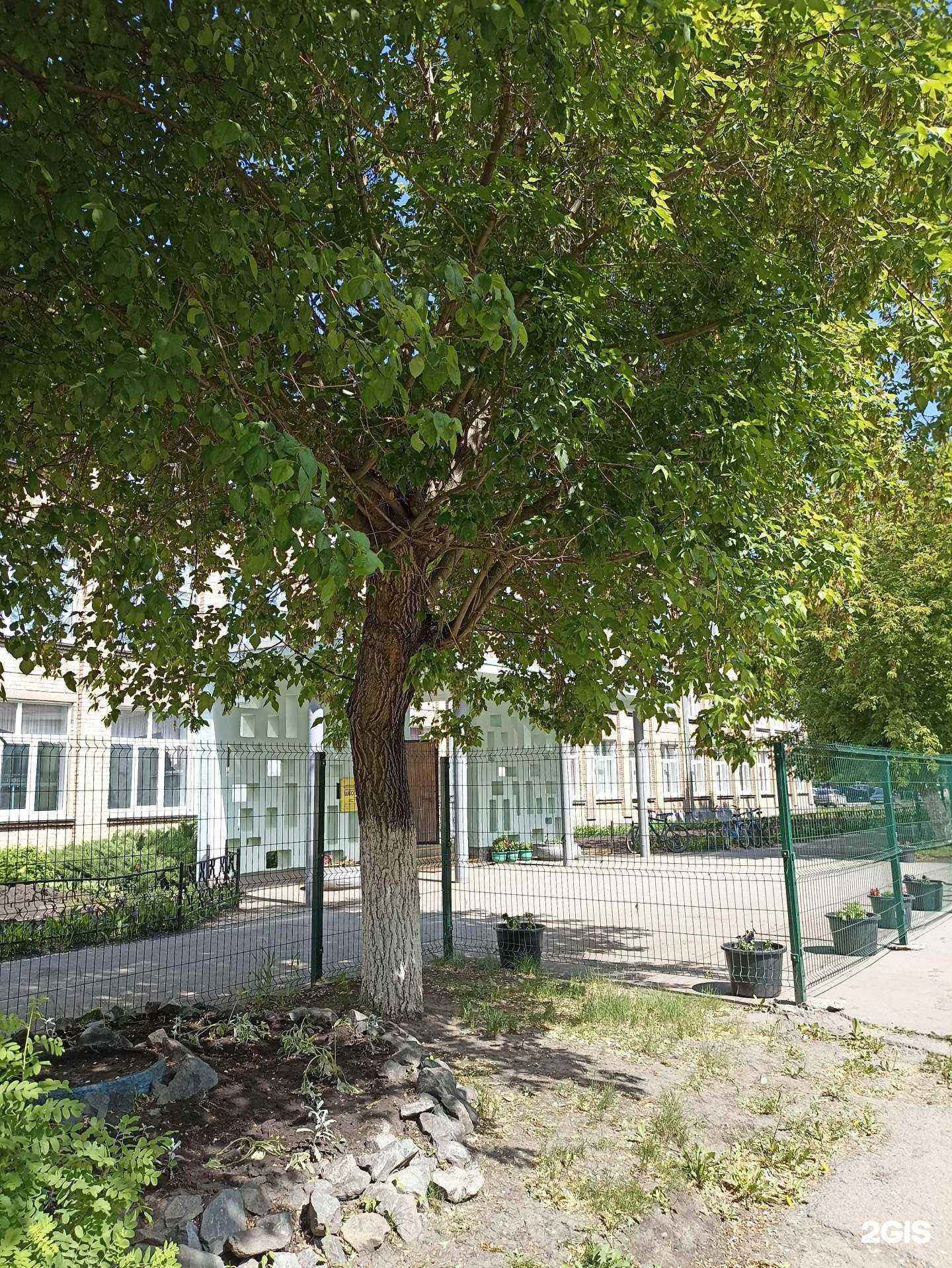 Отзывы на компанию Средняя школа №2 в Коркине c фото