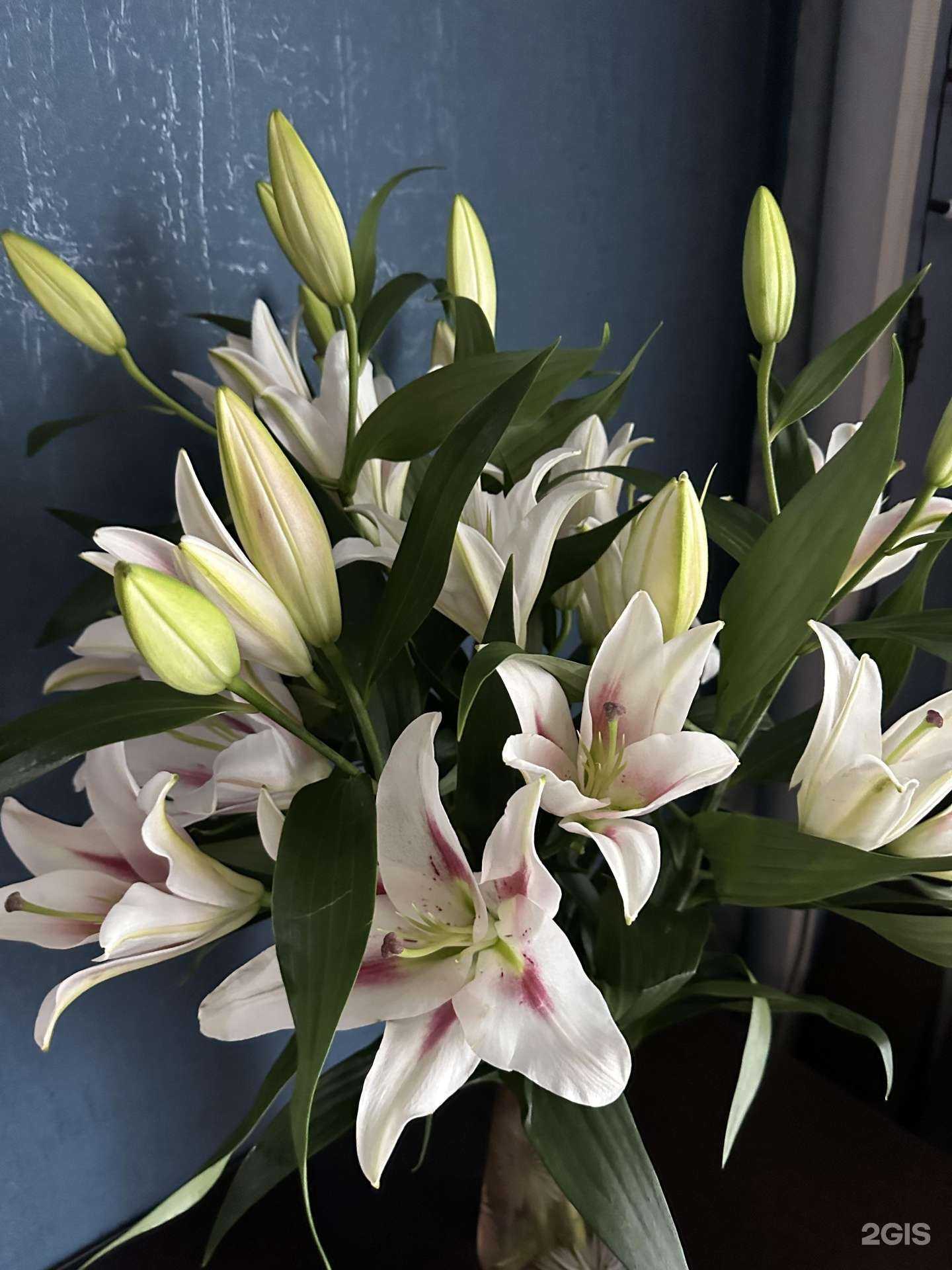 Отзывы на компанию City rose в Новокузнецке c фото