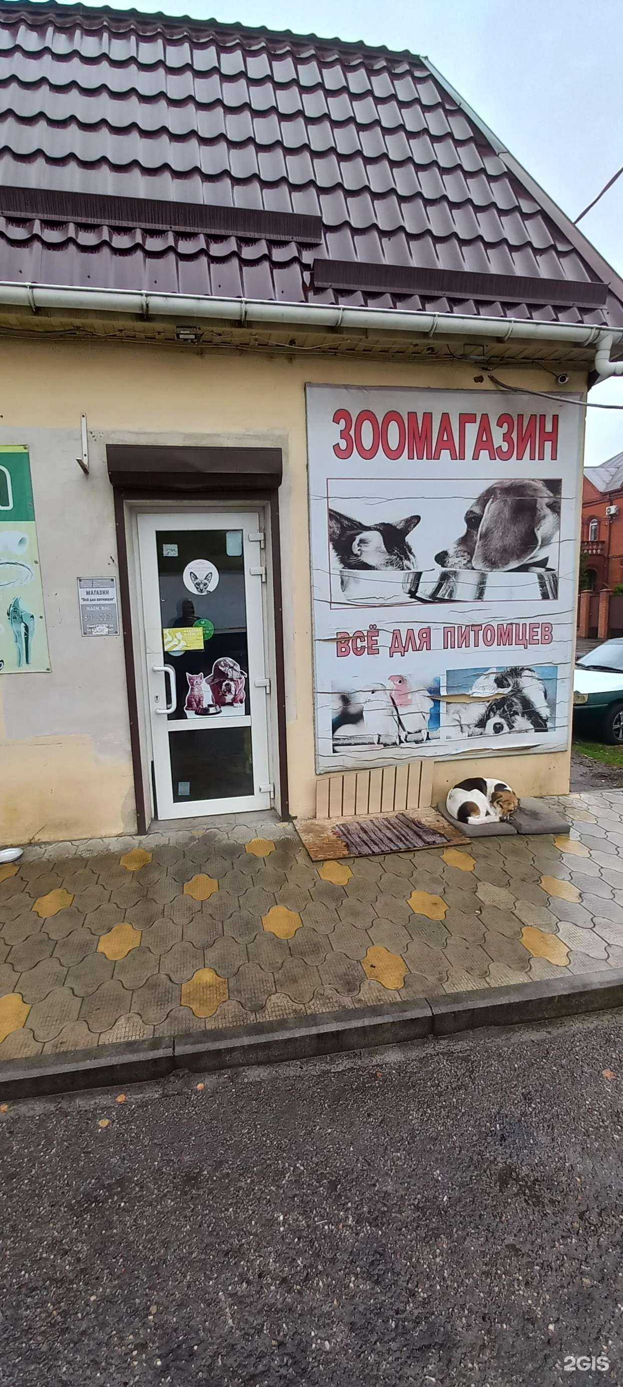 Отзывы на компанию Все для питомцев в Краснодаре c фото