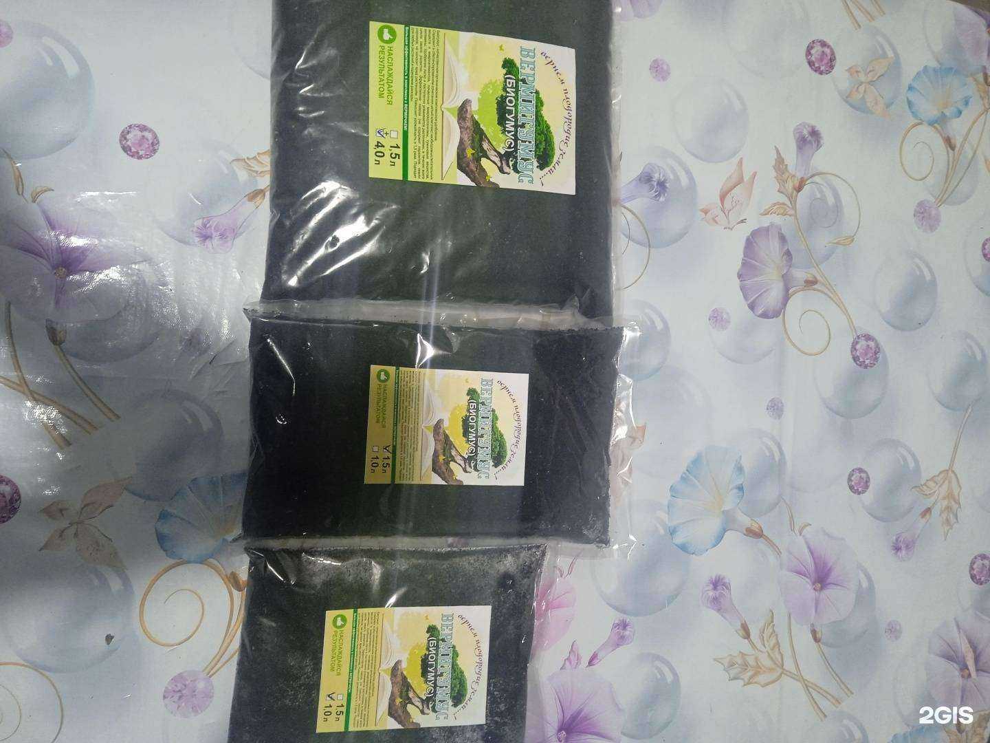 Отзывы на компанию ЧервячковЪ 39 в Калининграде c фото