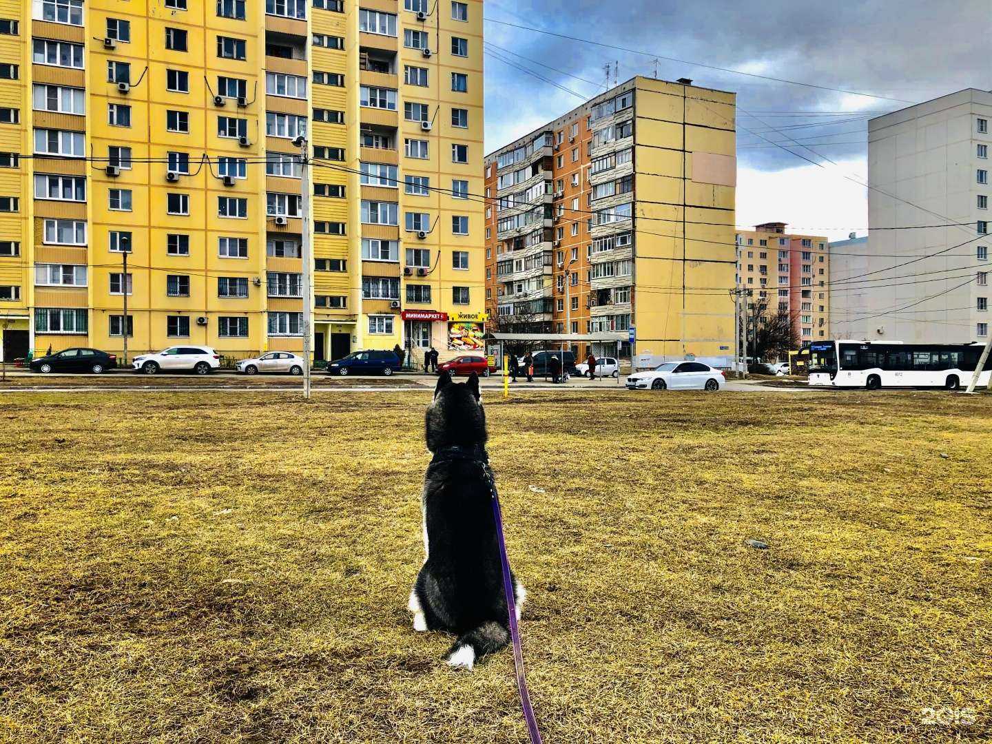 Отзывы на компанию Пингвин в Ростове-на-Дону c фото - фотография 2 из 2