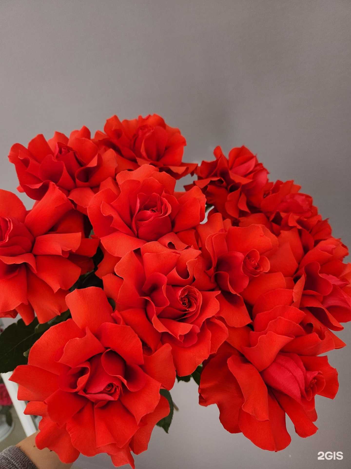 Отзывы на компанию Бьянка в г. Находка c фото