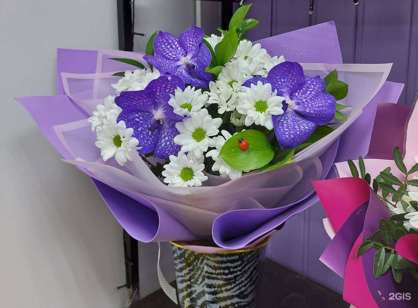 Отзывы на компанию Елизавета в г. Димитровград c фото