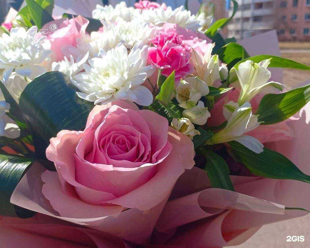 Отзывы на компанию Мама роза в г. Железногорск c фото