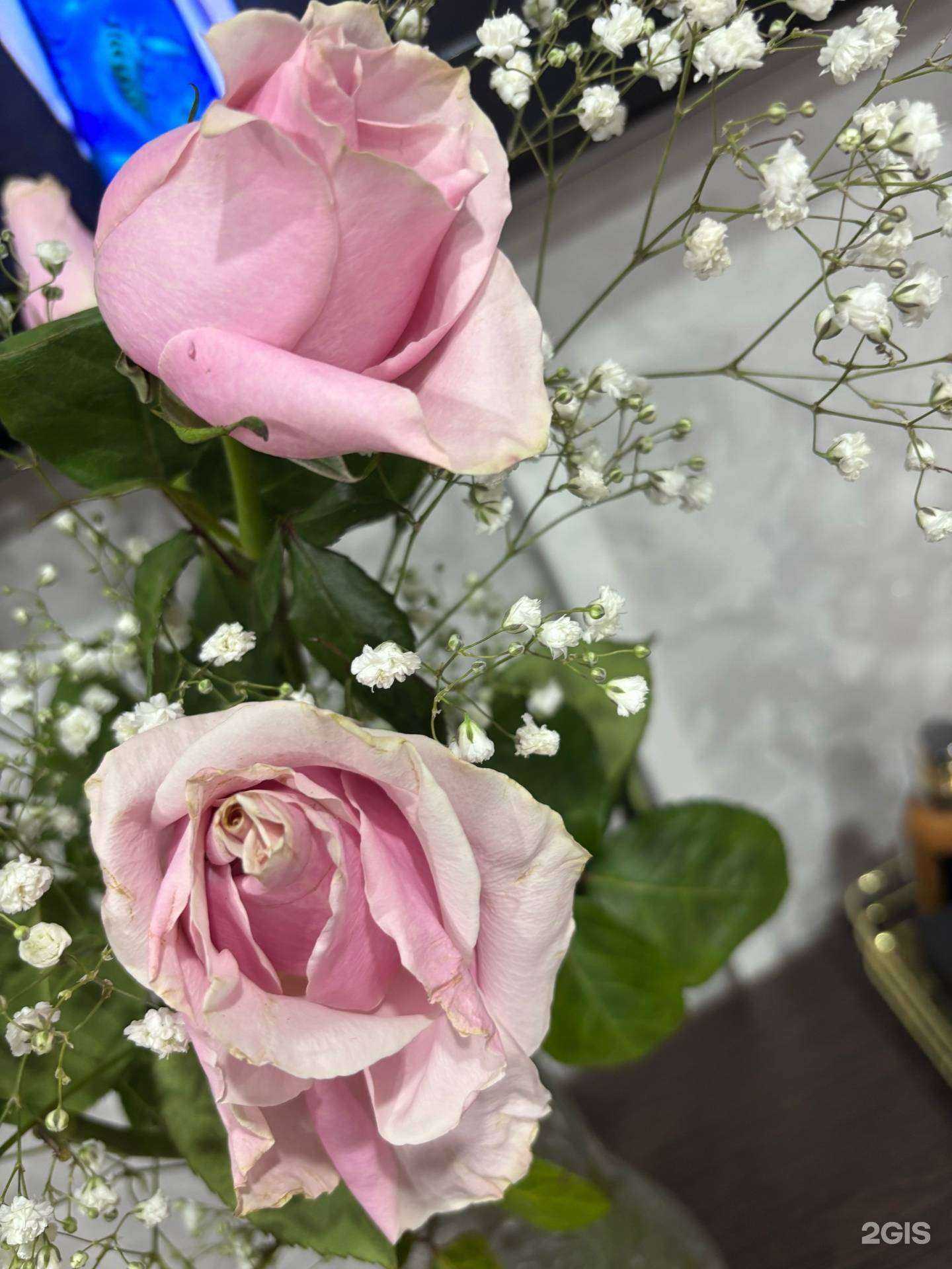 Отзывы на компанию Цветы рядом в Комсомольске-на-Амуре c фото