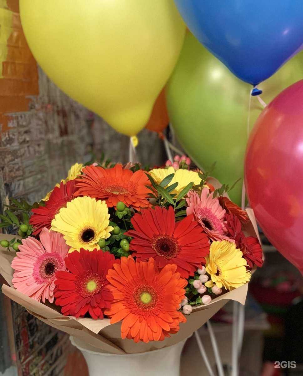 Отзывы на компанию Кактус в г. Омск c фото