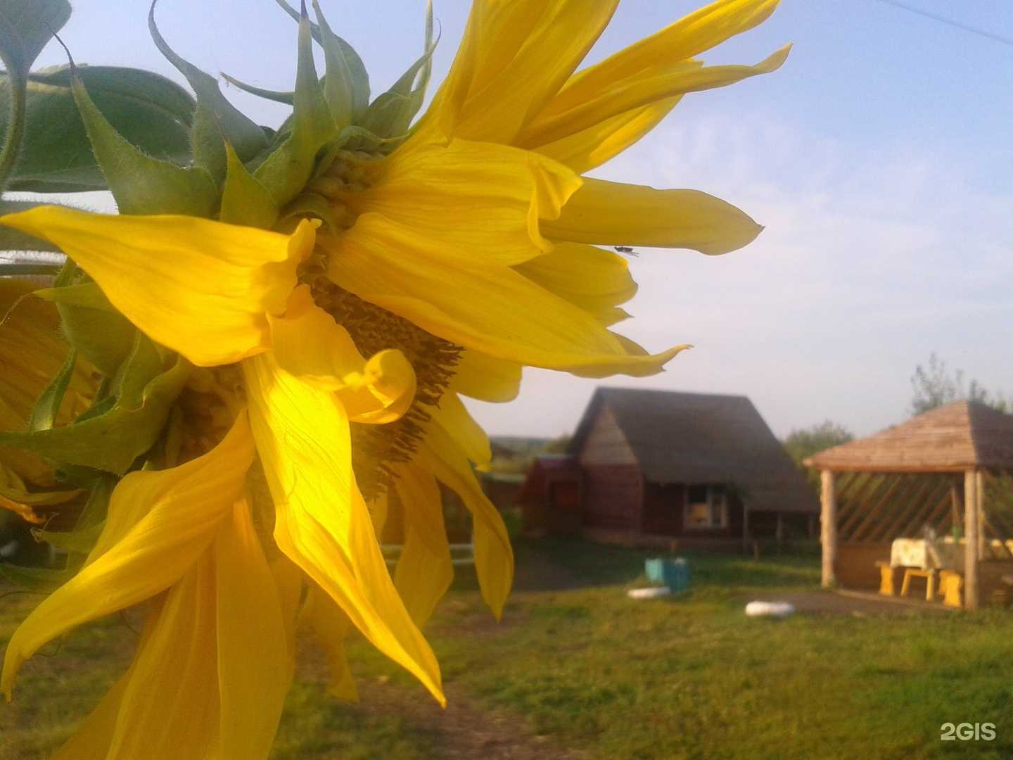 Отзывы на компанию Стрелецкая слобода в г. Саранск c фото