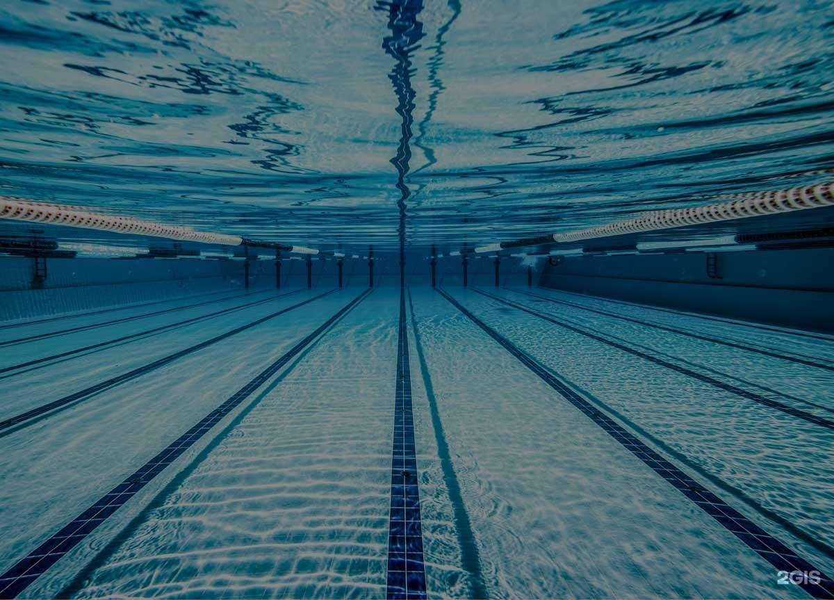 Отзывы на компанию Умею плавать в г. Омск c фото