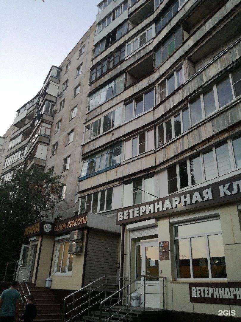 Отзывы на компанию Арина в Воронеже c фото