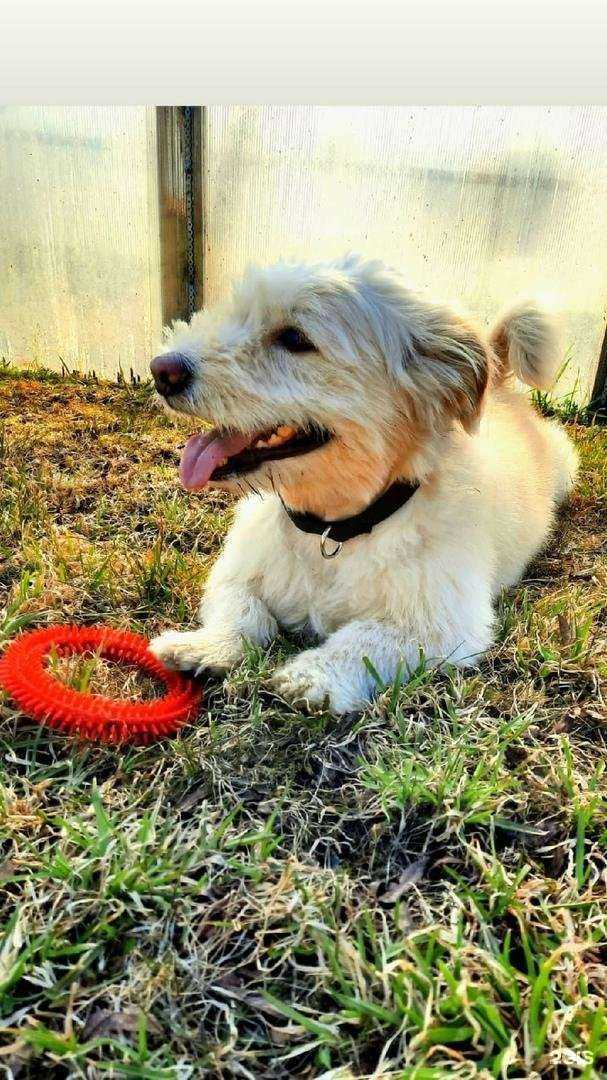 Отзывы на компанию НОС по ВЕТ.ru в г. Петрозаводск c фото