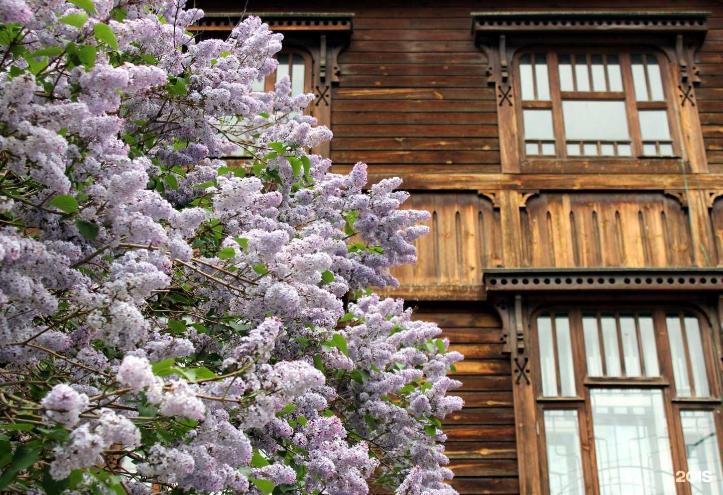 Отзывы на компанию Гамаюн в Екатеринбурге c фото