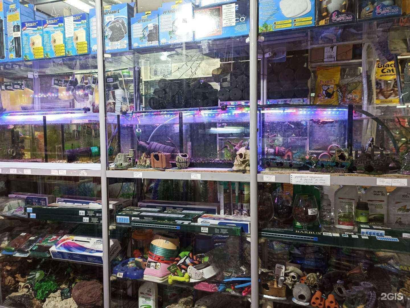 Отзывы на компанию Золотая рыбка в г. Мурманск c фото