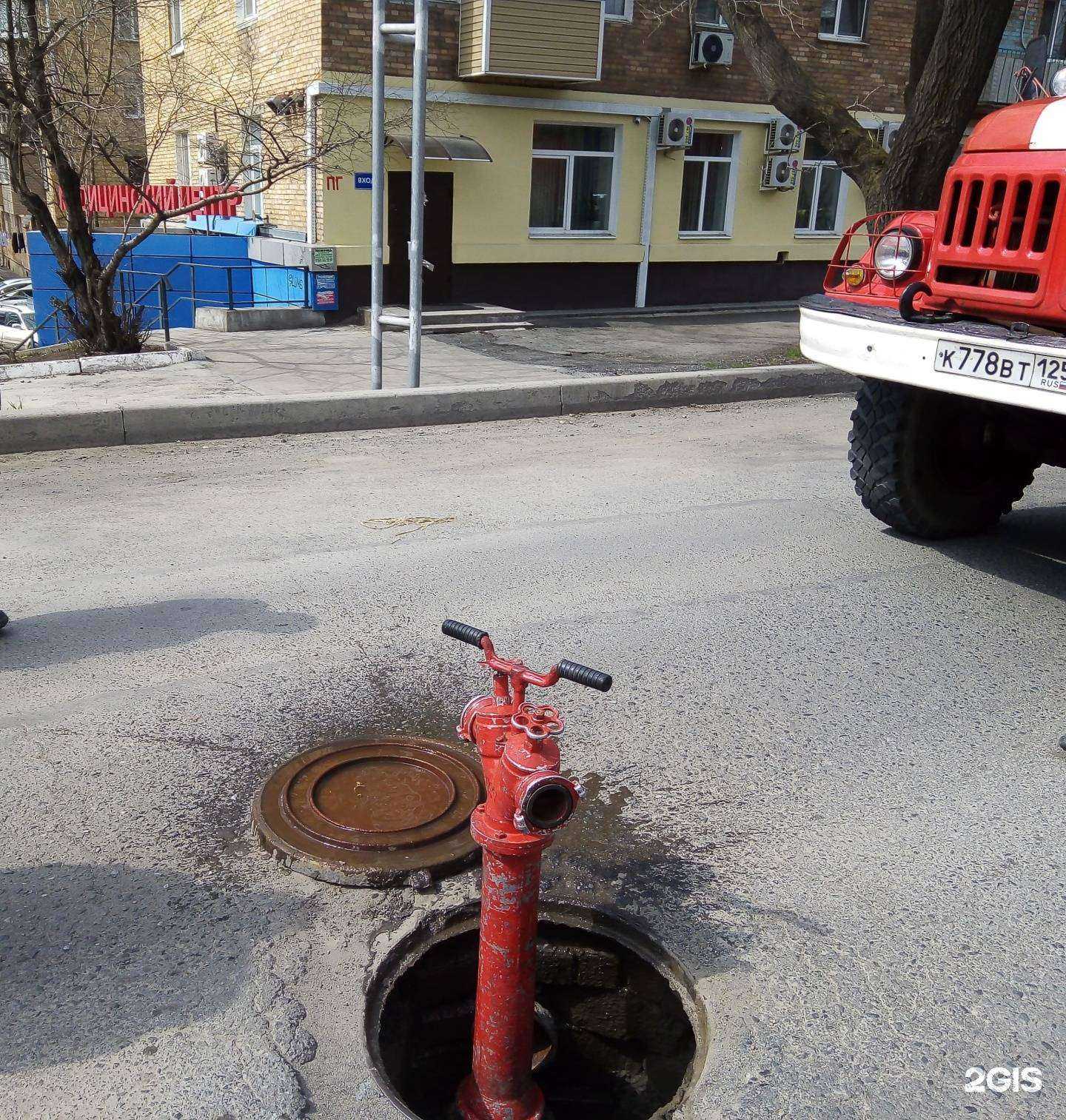 Отзывы на компанию Детский доктор в Владивостоке c фото - фотография 2 из 2