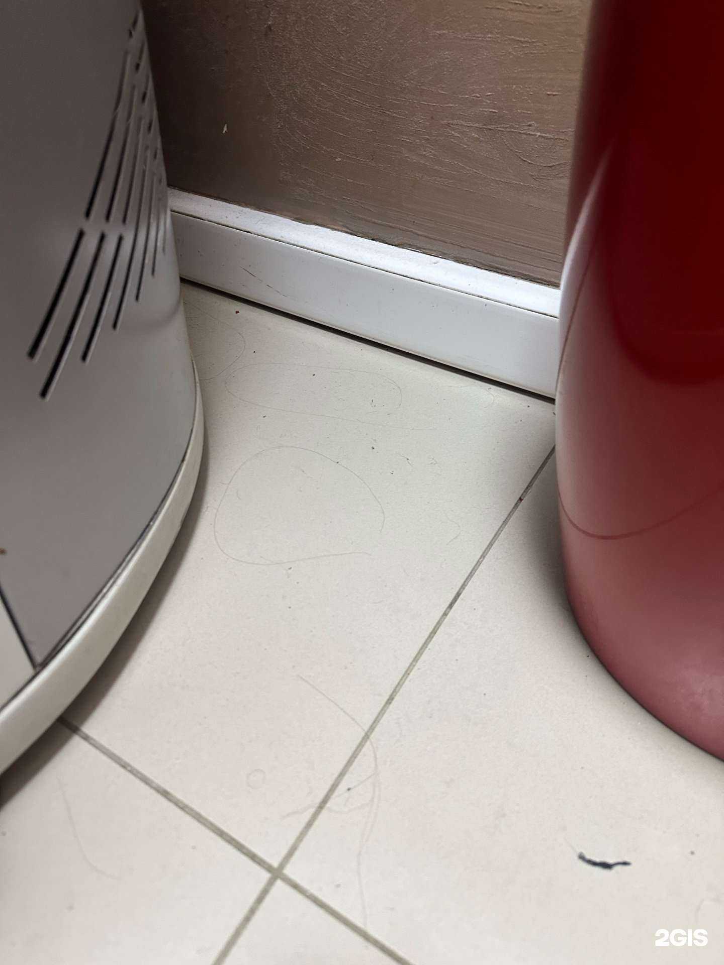 Отзывы на компанию Жара в Сургуте c фото