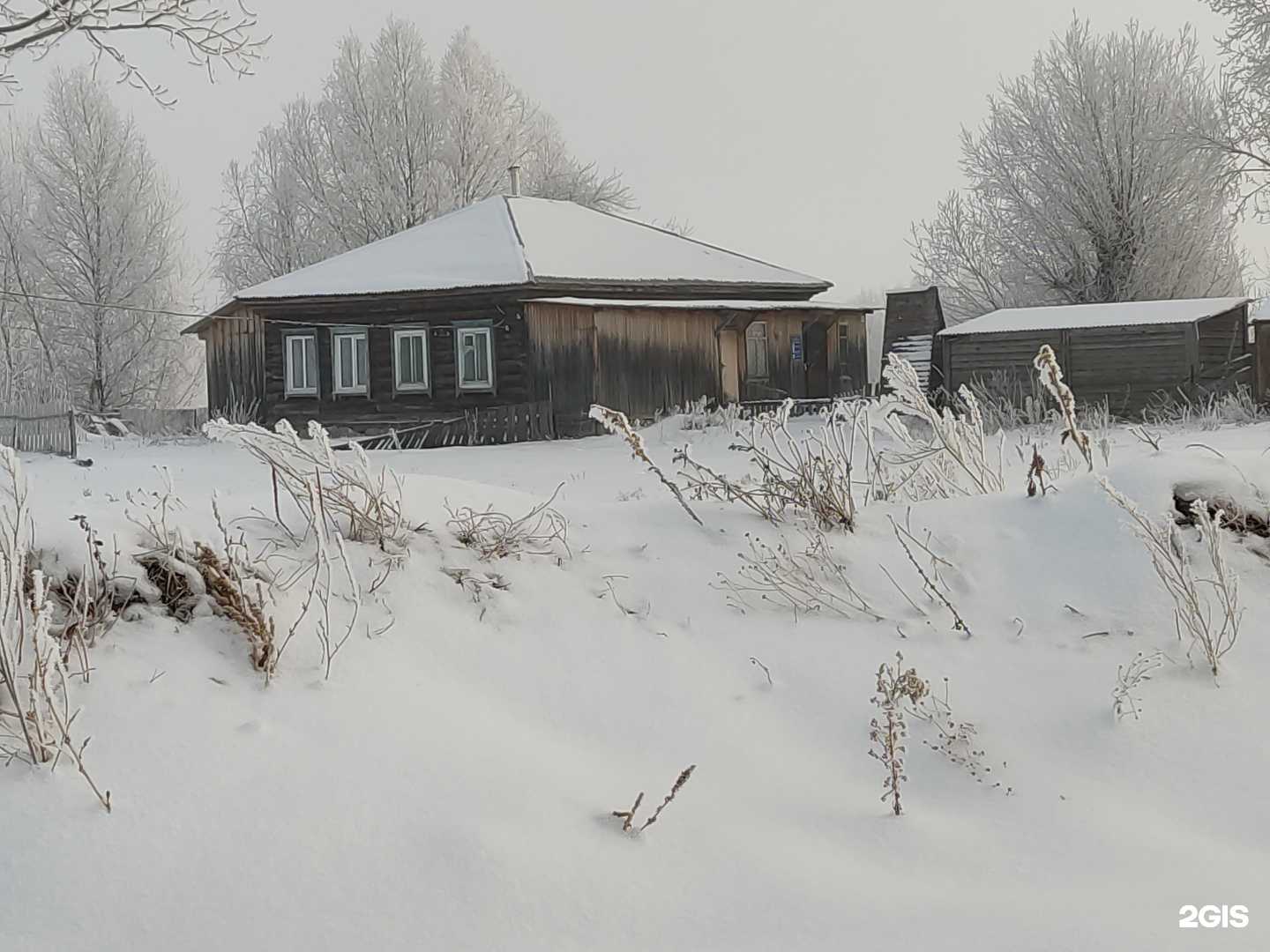 Отзывы на компанию Управление ветеринарии по г. Барнаулу в г. Барнаул c фото