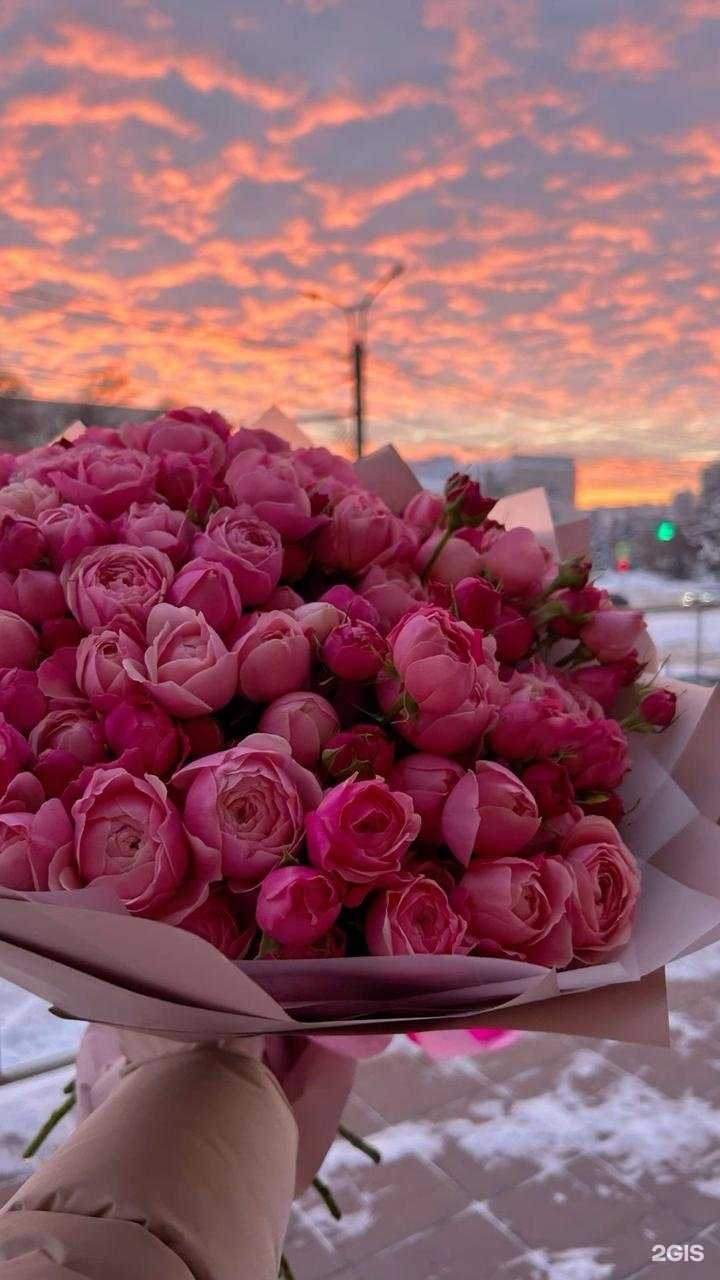 Отзывы на компанию Шампань в Владивостоке c фото