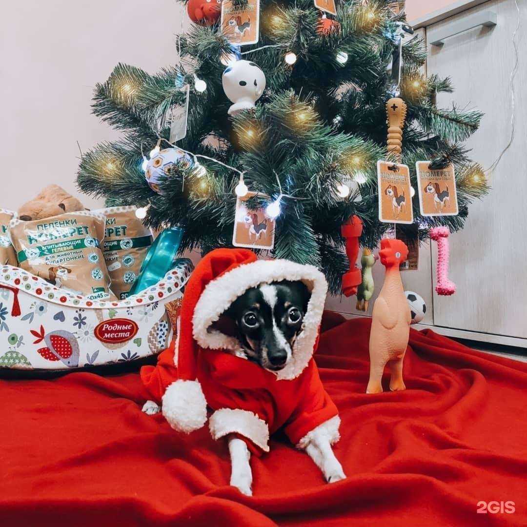 Отзывы на компанию ZебраЖираф в Вологде c фото