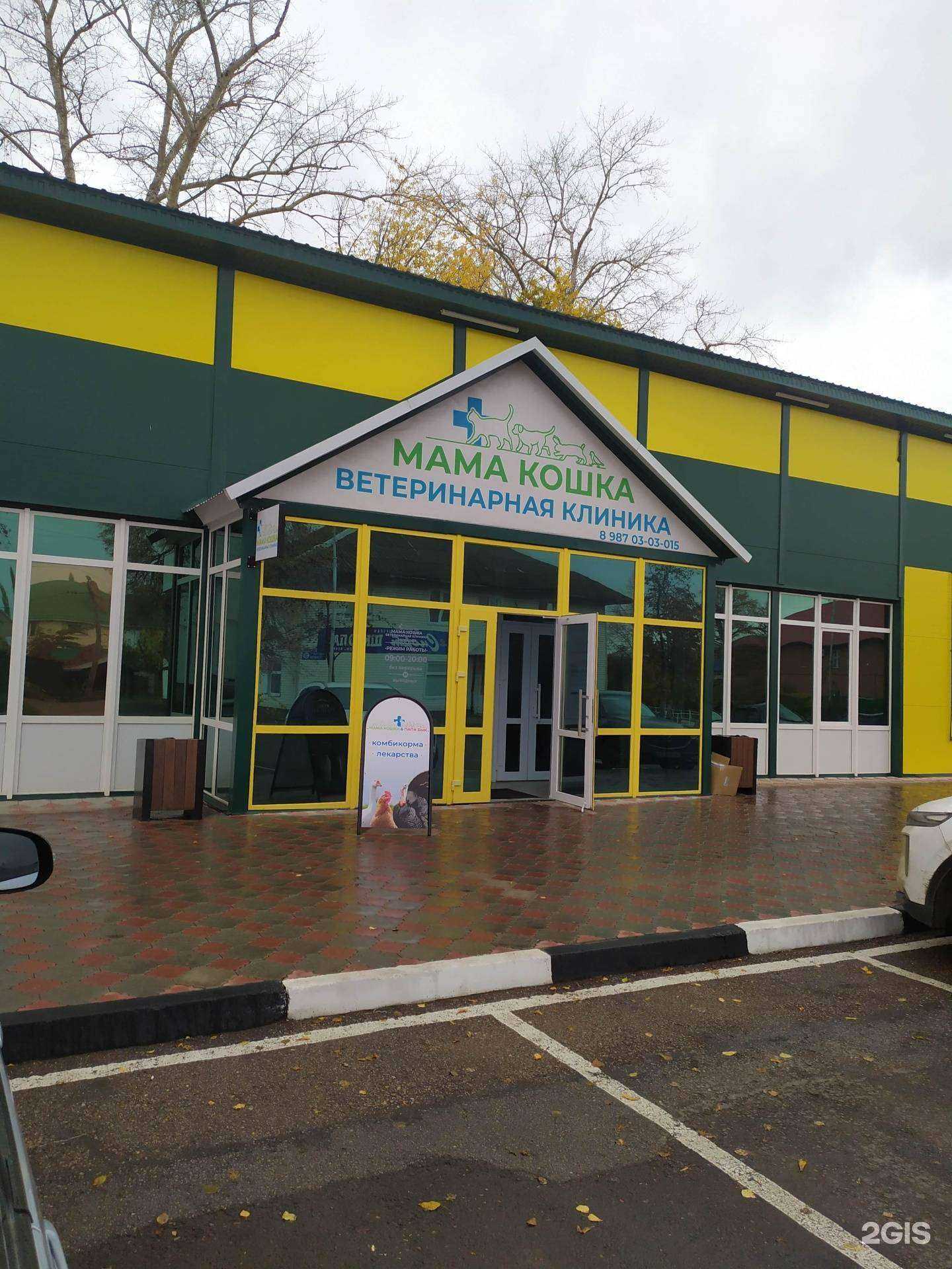 Отзывы на компанию Мама Кошка в Салавате c фото - фотография 2 из 2