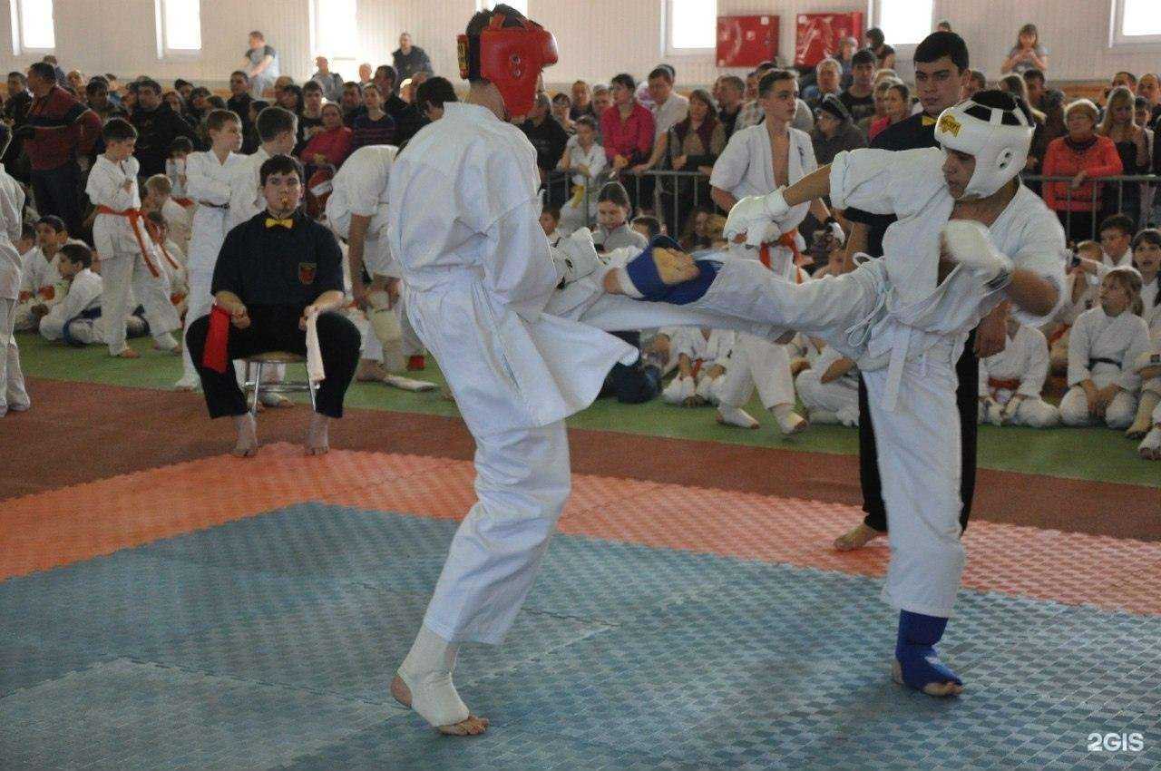 Отзывы на компанию Белый тигр  в Липецке c фото