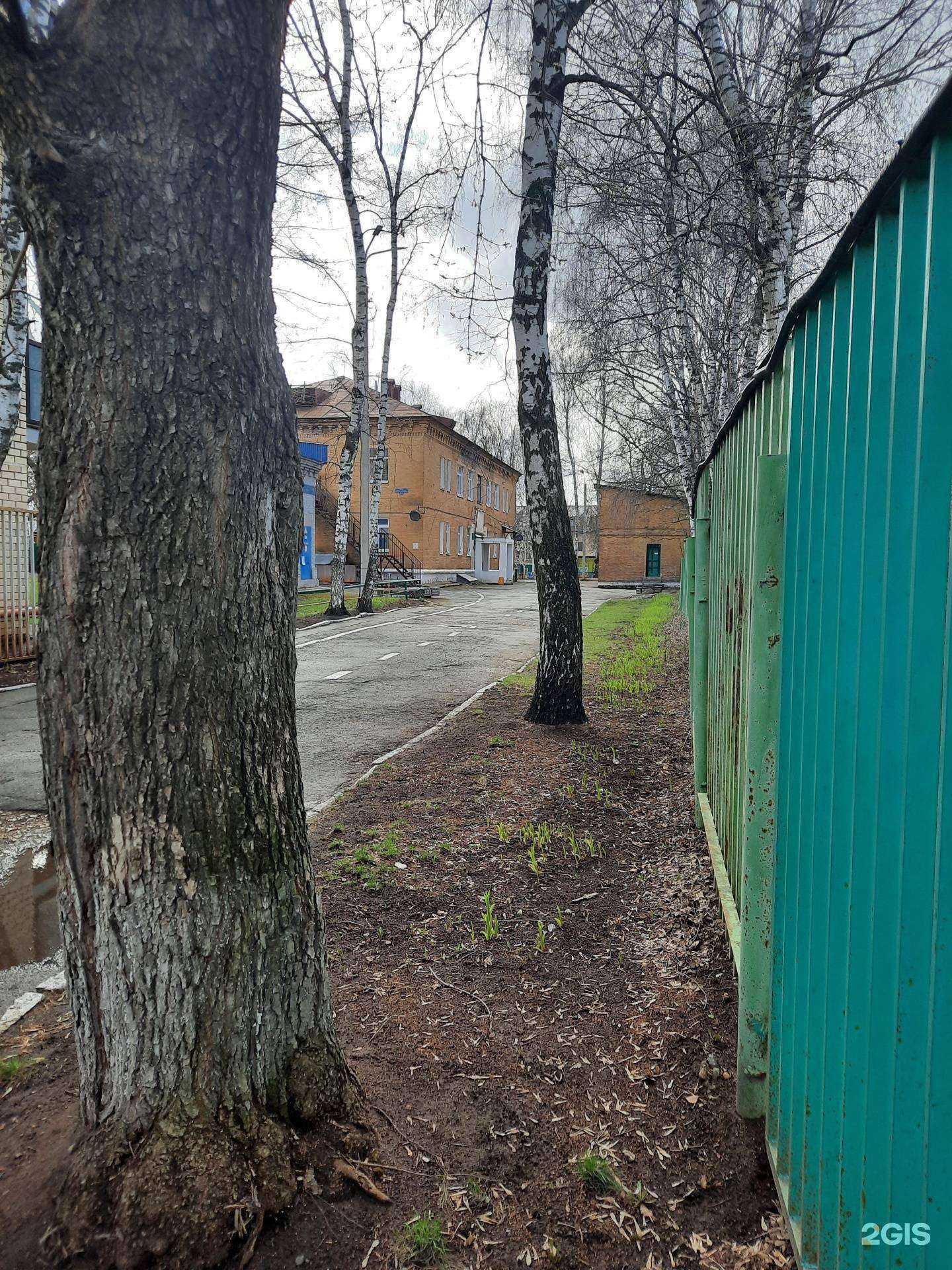 Отзывы на компанию Детский сад №103 в Перми c фото