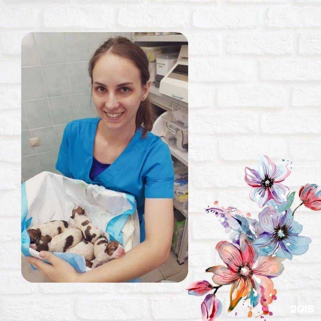 Отзывы на компанию Петан в г. Омск c фото