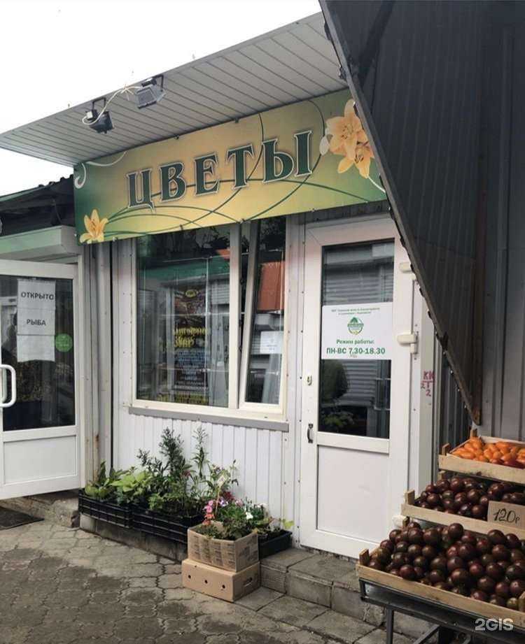 Отзывы на компанию Городской центр по благоустройству и озеленению г. Ульяновска в г. Ульяновск c фото