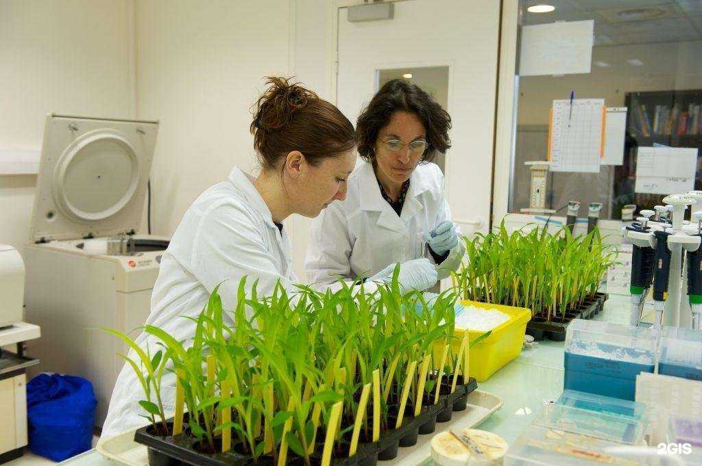 Отзывы на компанию Альпика-Агро в г. Краснодар c фото