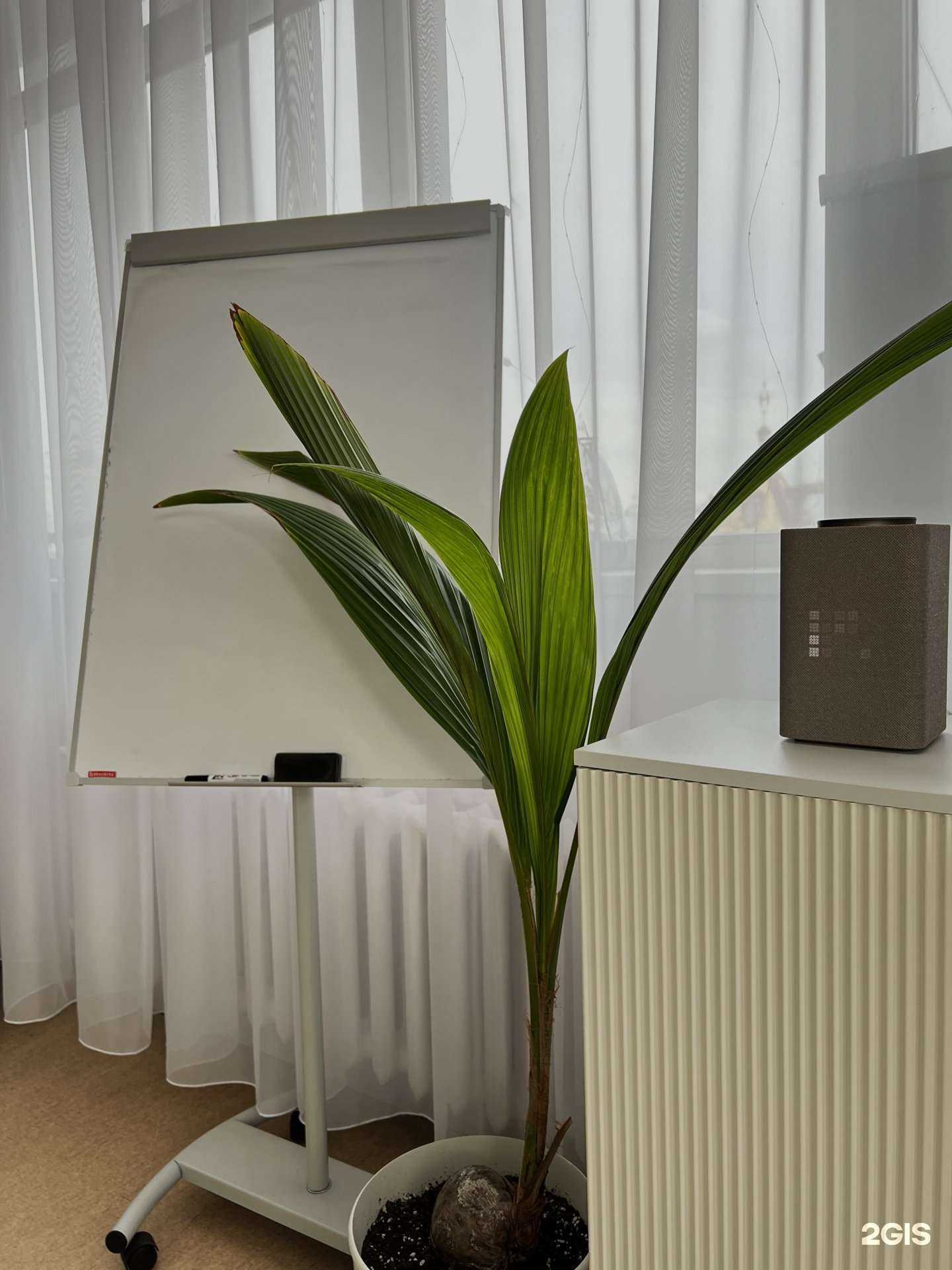 Отзывы на компанию Девичьи дела в г. Тюмень c фото