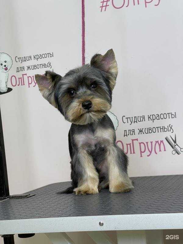 Отзывы на компанию ОлГрум в г. Наро-Фоминск c фото