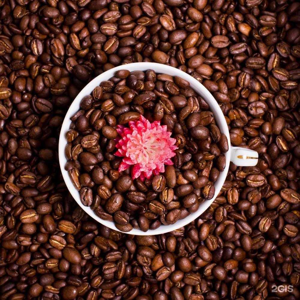 Отзывы на компанию Чайная кладовая в Краснодаре c фото