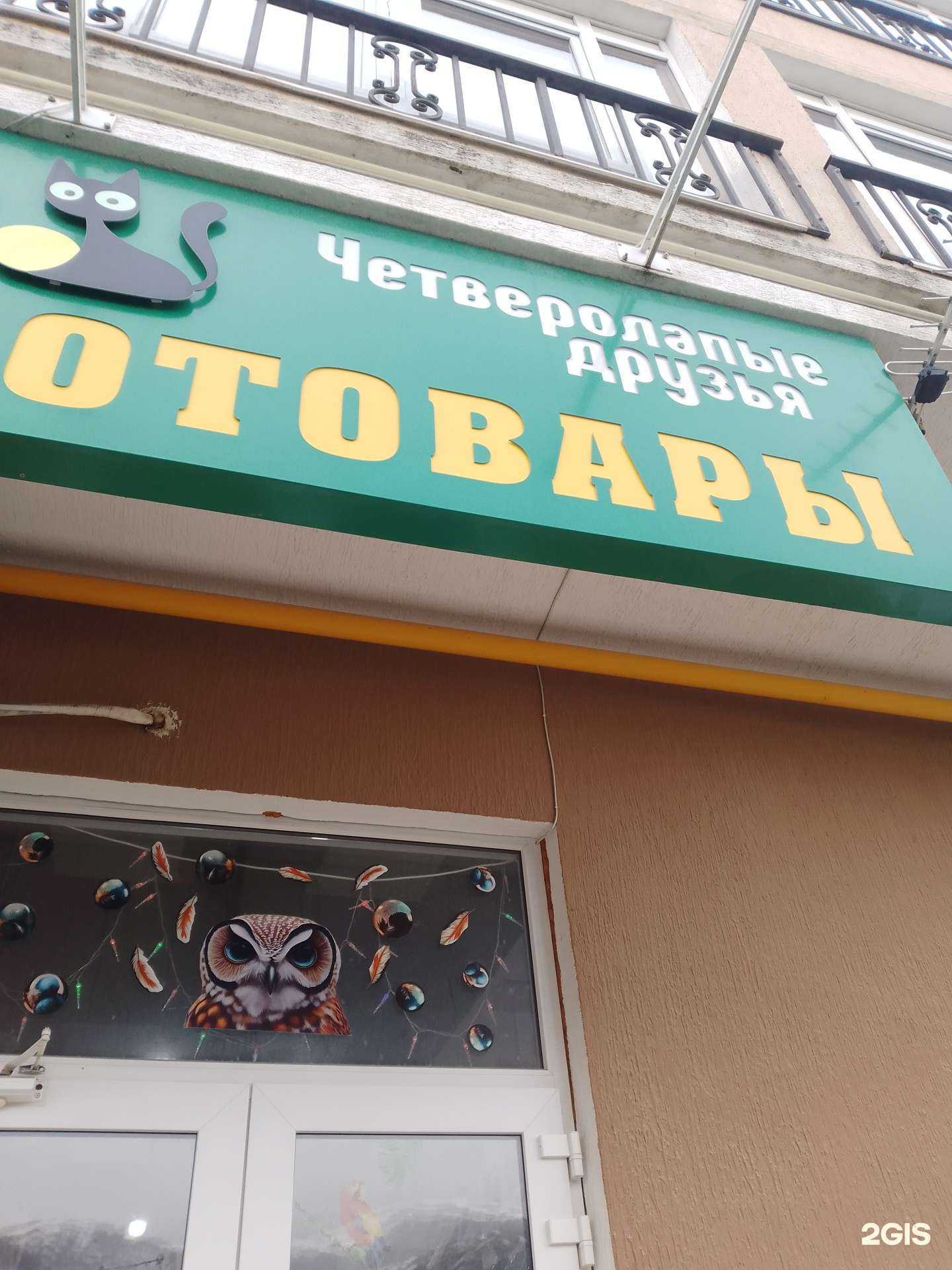 Отзывы на компанию Четырехлапые друзья в Геленджике c фото