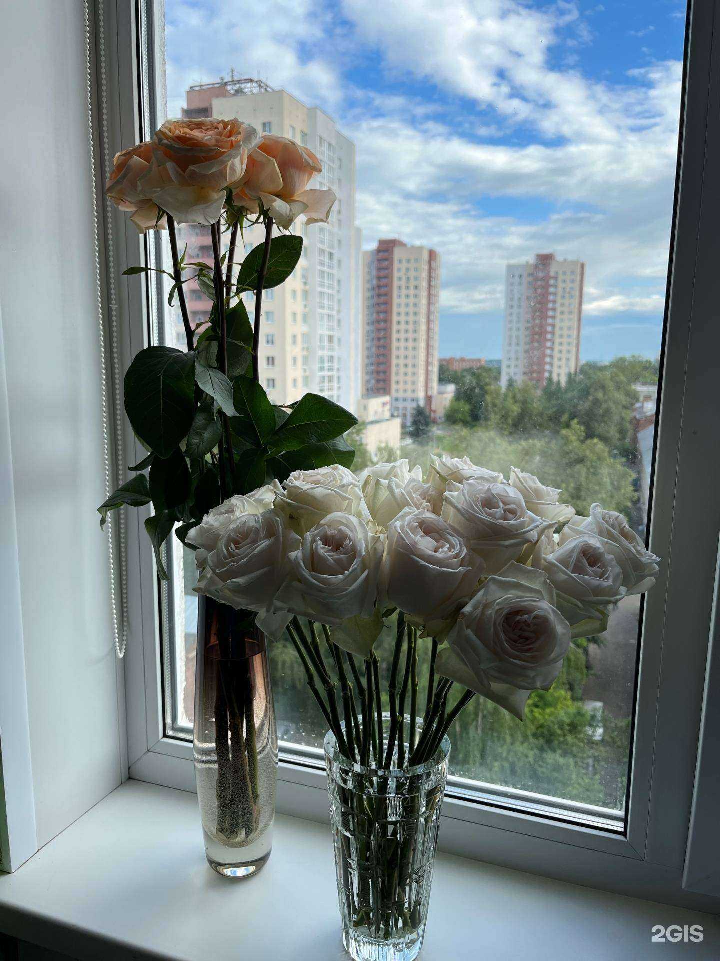 Отзывы на компанию Азалия в Нижнем Новгороде c фото