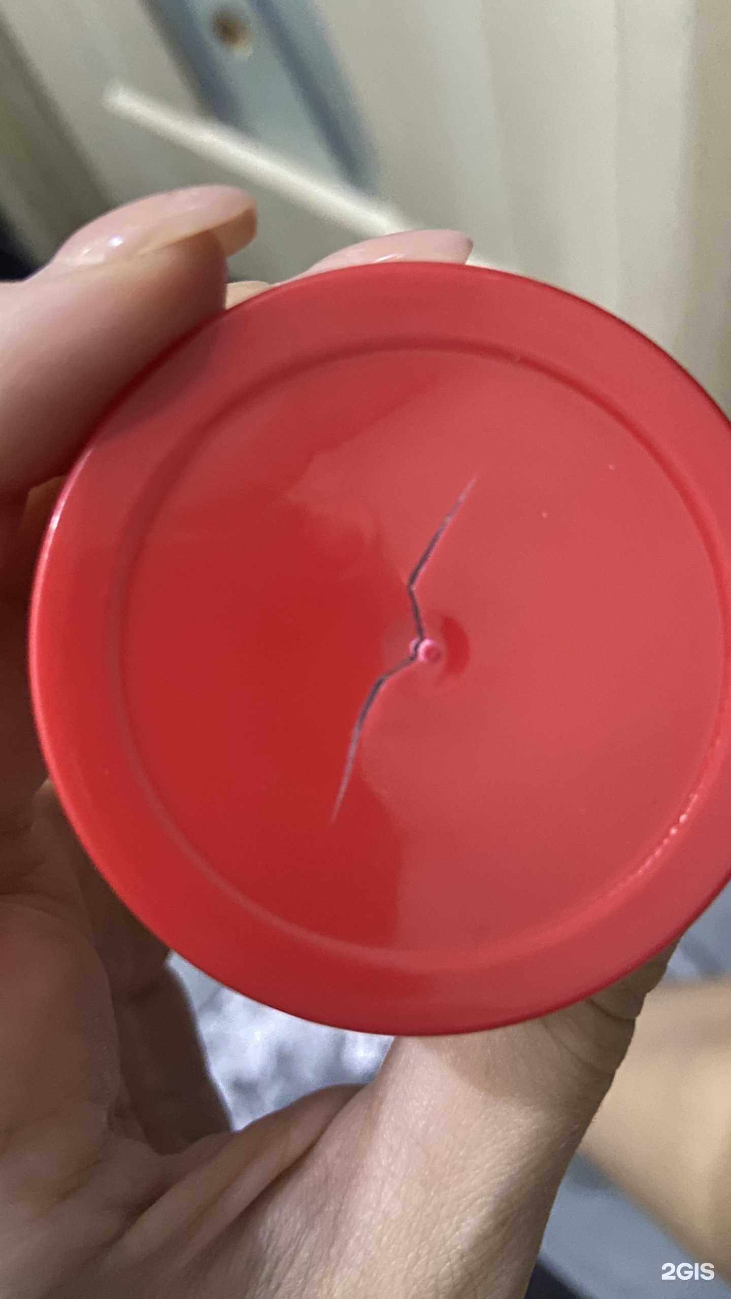 Отзывы на компанию Лето в г. Сочи c фото