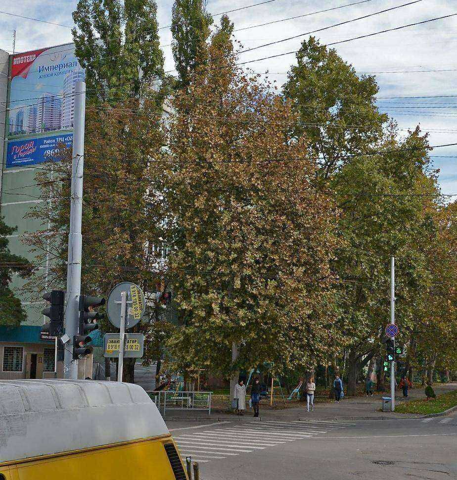 Отзывы на компанию Краснодарская краевая коллегия адвокатов адвокатской палаты Краснодарского края в Краснодаре c фото - фотография 2 из 2