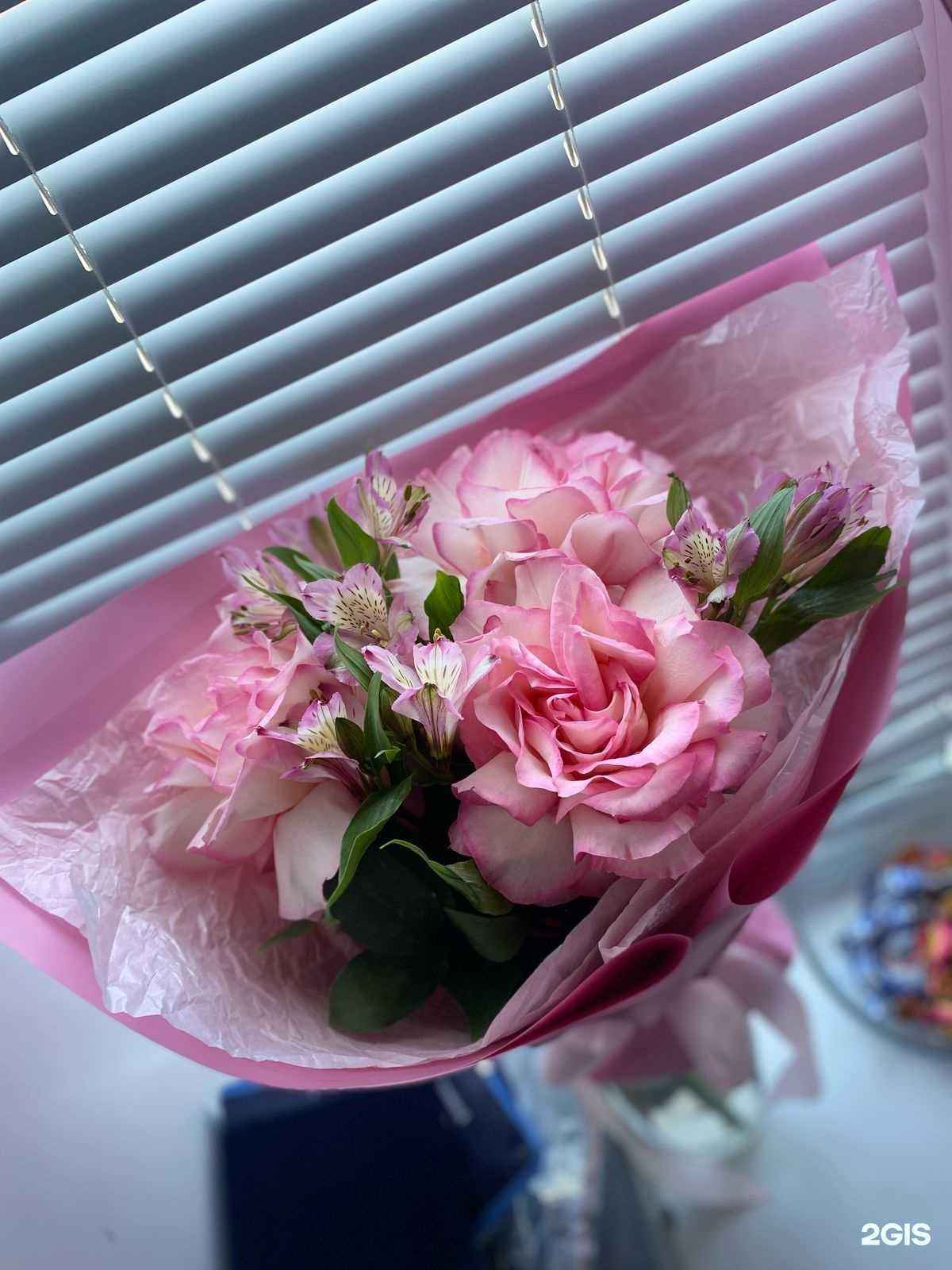 Отзывы на компанию Орхидея в Оренбурге c фото