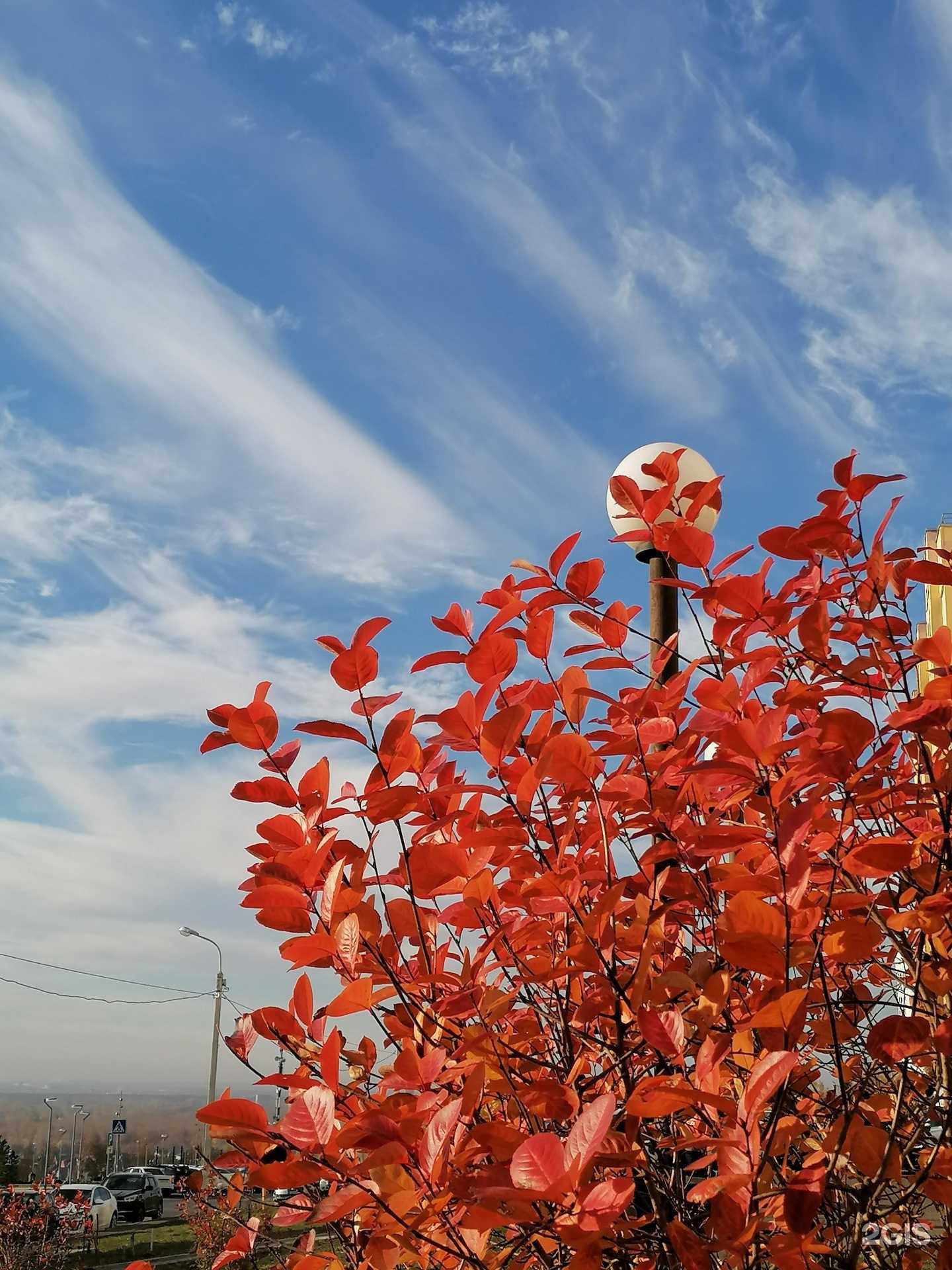 Отзывы на компанию ДентаФ в Уфе c фото - фотография 2 из 2