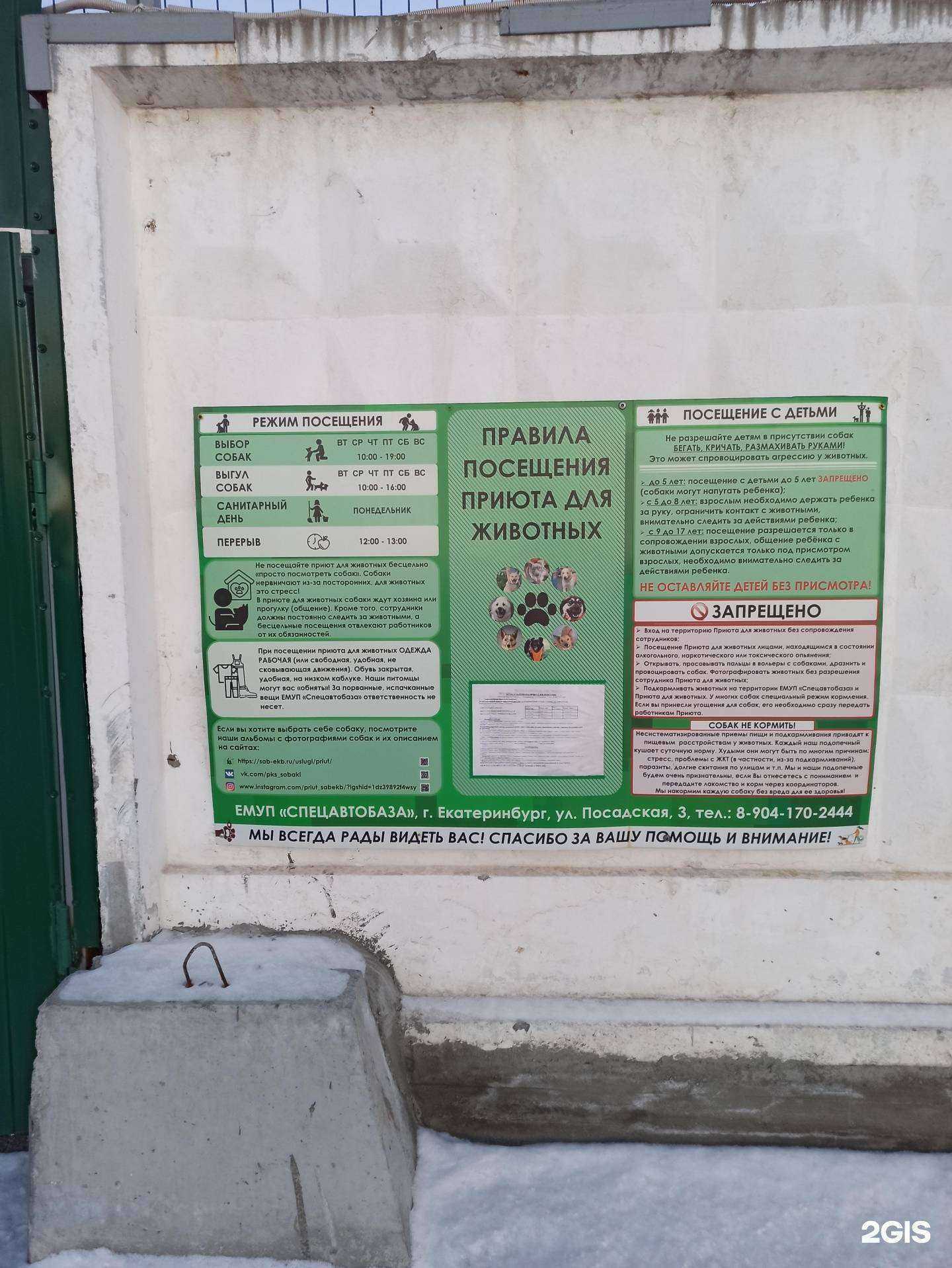 Отзывы на компанию Приют для бездомных собак в г. Екатеринбург c фото