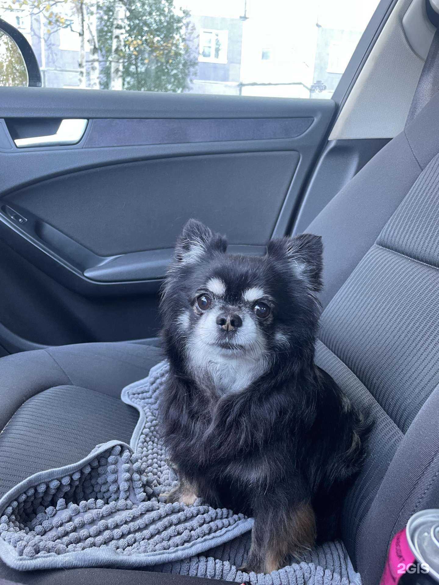 Отзывы на компанию Верный в Северодвинске c фото