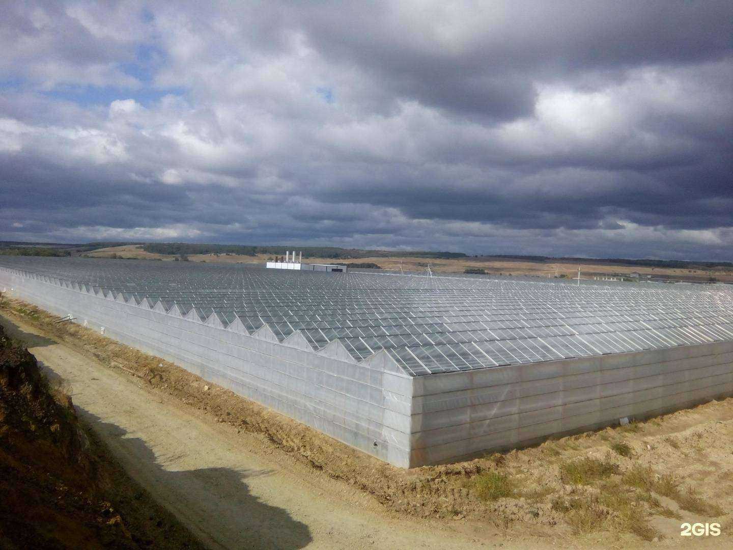 Отзывы на компанию Саратовзапсибниипроект-2000 в Саратове c фото