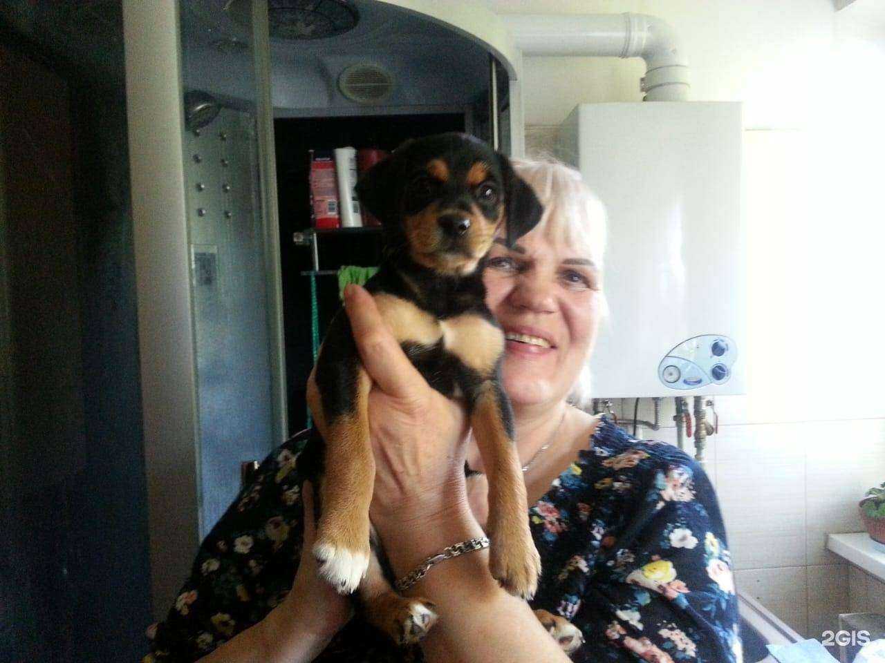 Отзывы на компанию Мит-транс в Калининграде c фото